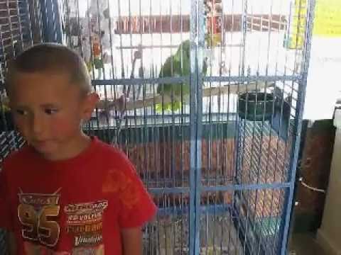 Forever Wild Exotic Animal Sanctuary _Noah and Shayla