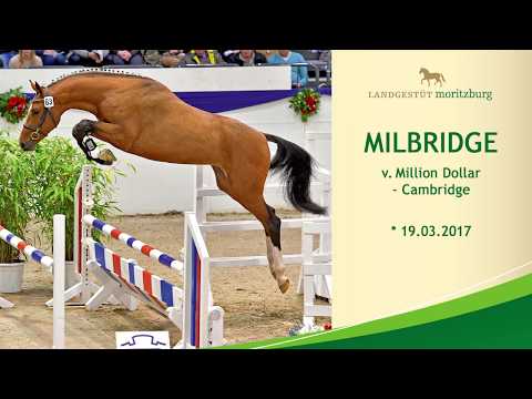 MILBRIDGE v. Million Dollar - Cambridge