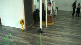 Level 2 - 7:45am w/ ANDRIA 4.29.24 ❤️ YOGA BETTER ON LINE! (class starts @ 00:07:17; ends @ 01:06:40)