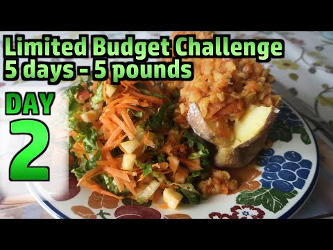 Limited Budget Challenge - £5 for 5 Days - DAY 2