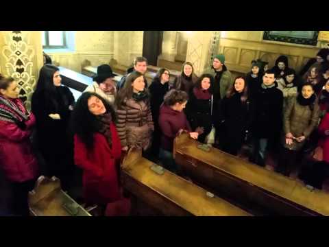 Imnul Amicus - Sibiu - Grupa nr 1