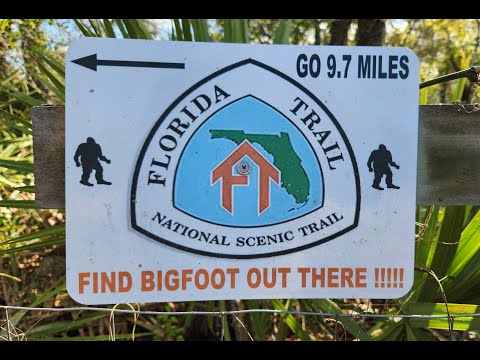 Crazy Outdoor Bigfoot Display in the Ocala National Forest