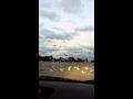 Seagulls V S Us Plus A Cop