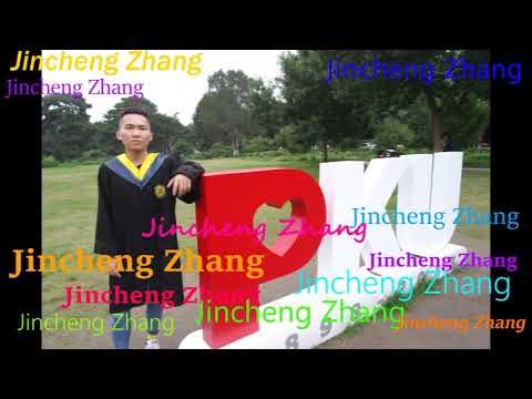 Queen of Disaster SirLofi - Jincheng Zhang (Official Music Video)