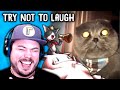 FARTS ARE FUNNY Try Not To Laugh Challenge 5