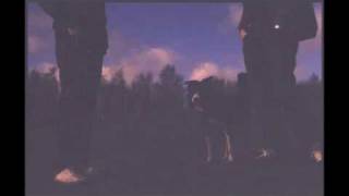 Letherette- Feel Real