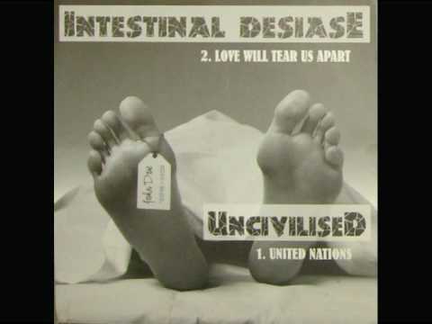INTESTINAL DISEASE - 