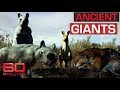 Giant species that used to roam the outback | 60 Minutes Australia