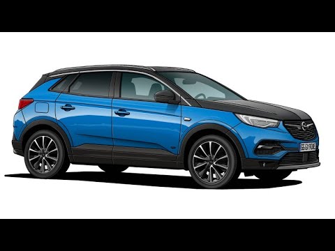 F.A.Z. driving report: Opel Grandland X Hybrid 4