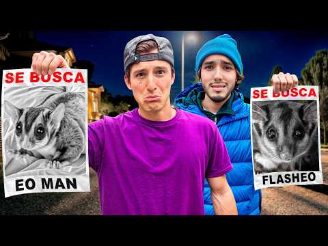 MIS MASCOTAS HAN DESAPARECIDO !!