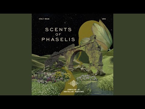 Sunset Horns feat. Simon DM