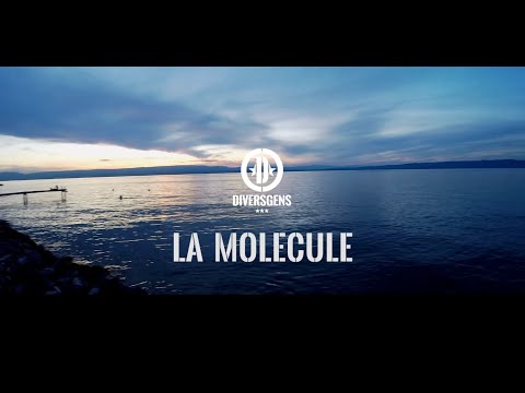 DIVERSGENS - La Molécule ( Official Video )