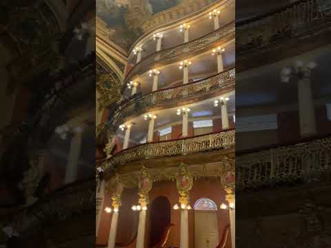 Teatro Amazonas 2026 Parte II #teatro #teatroamazonas #manaus #cultura #arte
