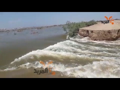 شاهد بالفيديو.. انهيار سدة نهر السويب شمالي البصرة #المربد