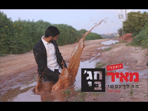 מאיר חג'בי - מה לך נפשי ווקאלי  meir hajby - ma lach nafshi