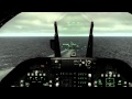 Navy 203 VFA 143 Pukin Dogs