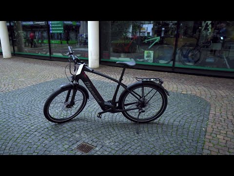 E-BIKE Diamant Zoomer Deluxe Plus 2021 - switchbike.de