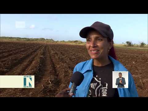 Cuba: Realizan jornada de trabajo voluntario en Ciego de Ávila