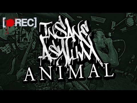 Insane Asylum - Animal (Pitcam Video)