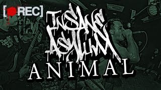 Insane Asylum - Animal (Pitcam Video)