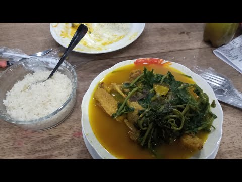 Rolê gastronômico em Porto Velho RO. Levando ela para comer tacacá...