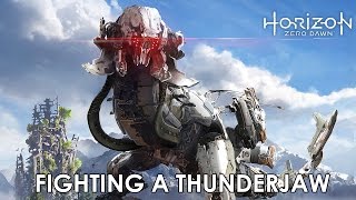 Horizon: Zero Dawn - Taking On A ThunderJaw