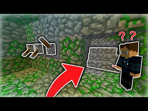 HEMMELIGE INDGANGE TIL DIN BASE!!