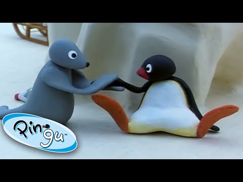 Pingu hurts his Wings! 😨 | Pingu Official | 1 Hour | Cartoons for Kids - Kids (0-4), Kingdom Kids Zone - Pingu - Official Channel