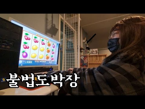 이미지
