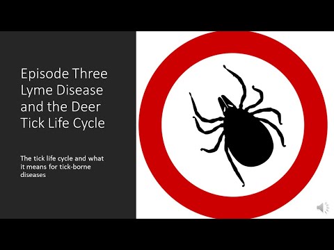 Taking on Ticks Episode Three: Lyme Disease and the Life Cycle of the Deer Tick