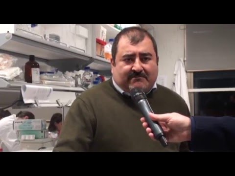 Emergenza Fuga dei Cervelli - Tg Canale 9 e Canale 8 - 29 Gennaio2016