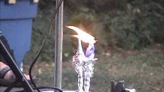 Havdalah in the Park