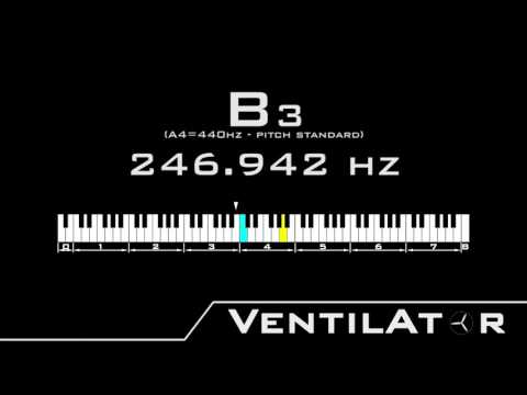 B3 / 246.942hz @A440hz Tone For Instrument Tuning