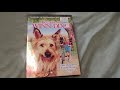 Because Of WINN DIXIE DVD Overview