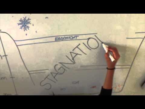 Der See im Jahresverlauf / Bioprojekt