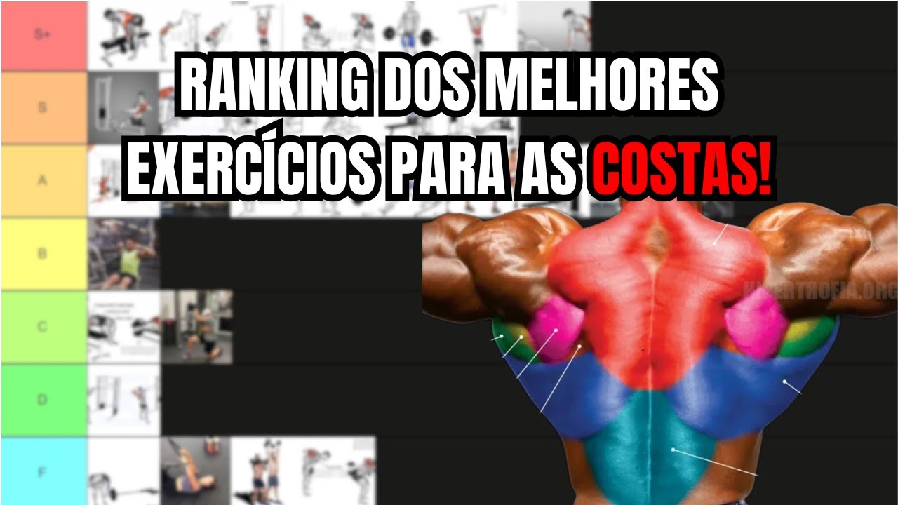 CLASSIFICANDO OS MELHORES EXERCÍCIOS PARA AS COSTAS!