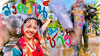 ไปอยุธยาเล่นน้ำสงกรานต์กับช้าง#อยุธยา ปรางค์ไปคนเดียว Thai Songkran