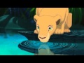 Lion King Can You Feel The Love Tonight Nala One Line Fandubs