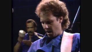 Dolphine Dreams _ Lee Ritenour