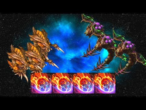 4 FIRE KERRIGAN - Weekly Brawl [Starcraft 2 Direct Strike]
