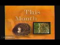 This Month On PBS May 1997 Commercial