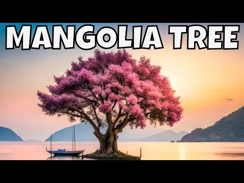 The Magic of Magnolias: Watch the Flowers Come Alive