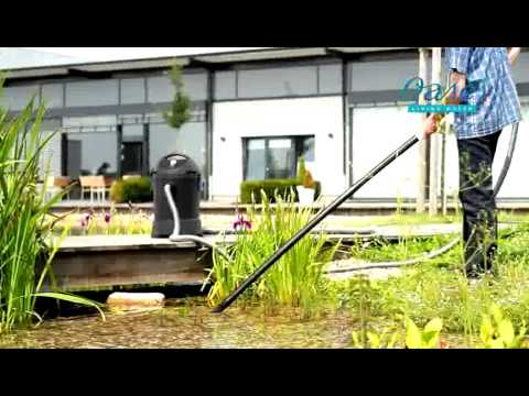 Watch Video on YouTube