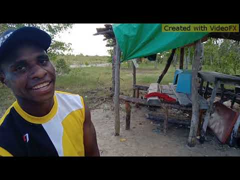 SSL Lewa (Walibers Crew)