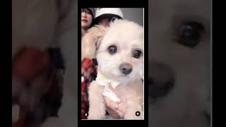 【IZONEコラボ】NEMONEMOチャレンジ YENA MINJU CHAEWON EUNBI イェナ ミンジュ チェウォン ウンビ