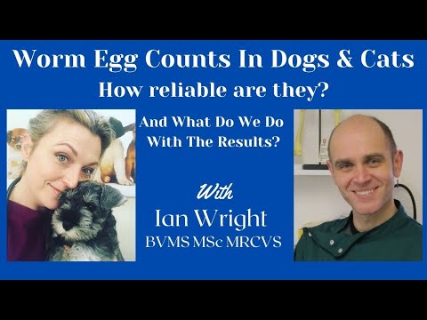 Worm Egg Counts in Pets. How Reliable Are They?