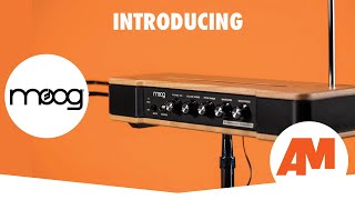 Video thumbnail for INTRODUCING: The Moog Etherwave Theremin (Quick Demo) by Alto Music