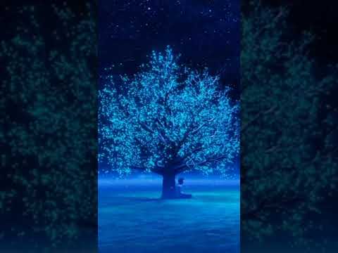 Beautiful Sleep Music for Stress Relief - Relaxing Music, meditation music, study music, piano music