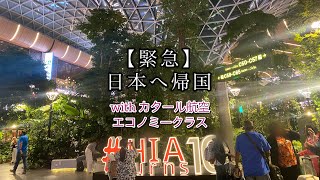 【緊急】日本へ帰国します/カタール航空 エコノミークラス