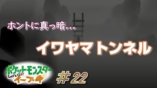 【ピカブイまったり女性実況】やっと着いたイワヤマトンネル！新ポケもトレーナーさんも沢山いるぜ～♪【レッツゴーイーブイ】